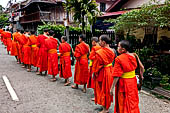 Luang Prabang, Laos - At dawn, monks receive their alms, the 'Tak bat'.